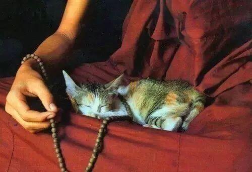 早安感悟171028：心永远都是幸福的温度计