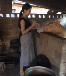 牛哥美女内涵gif动图11p:擦电视,一只脚没有穿丝袜吗?!