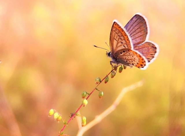 早安11月：十月，再见！十一月，你好！