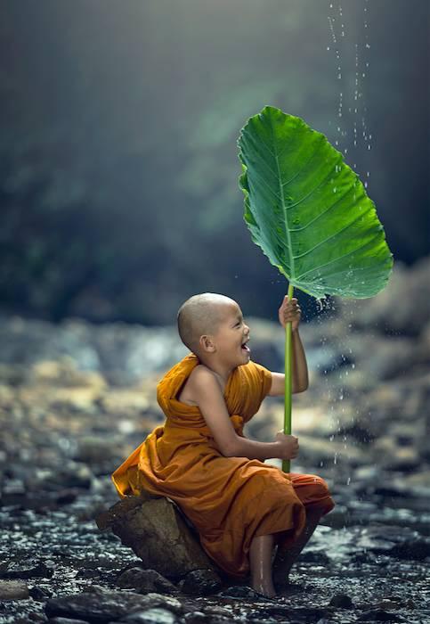 早安文字171105：人生本过客，何必千千结