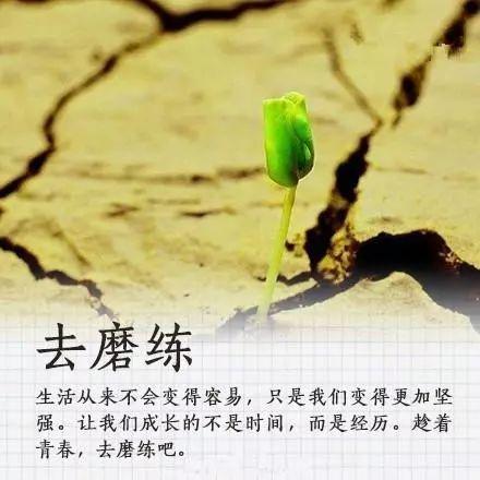 早安心语正能量171201：不悲叹过去，不荒废现在，不惧怕未来