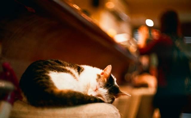 早安心语171107：其言也善，其心也真