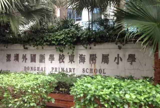 深圳各区的外国语小学，其英文课程到底有何不同？