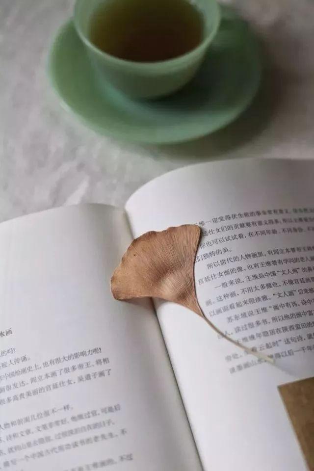 晚安感悟171117：回归一颗安静无尘的心