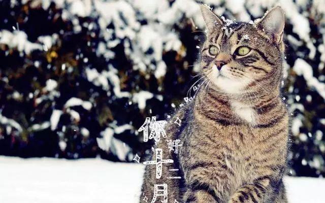 早安心情171202：你好十二月