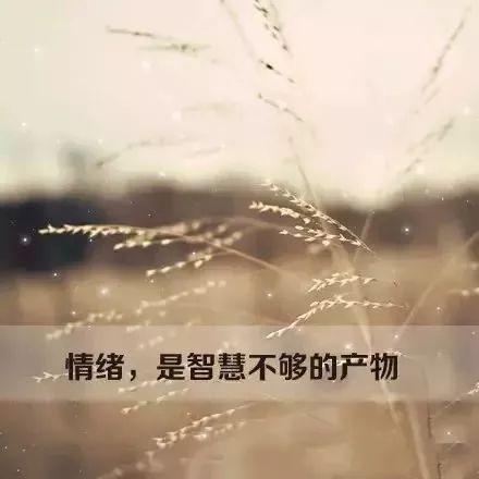 关于情绪的文字图片