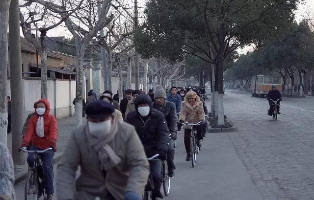 春风又吹红了花儿蕊，时光一逝永不回