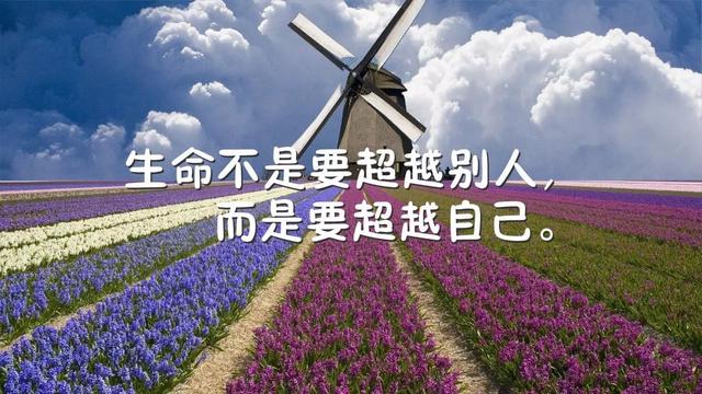 早安心语正能量180310：要做，就做生活的强者