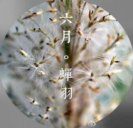 早安美文171214：陪伴你十二个月