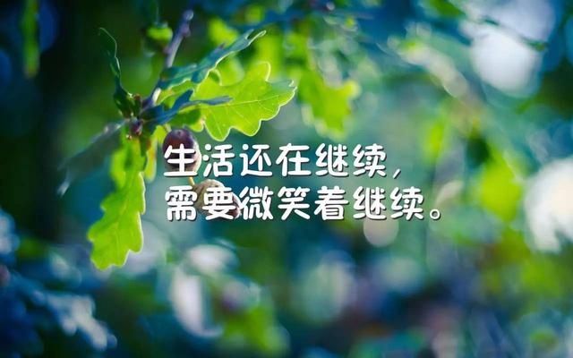 早安心语正能量171222：新一年不代表新开始，如果你没行动