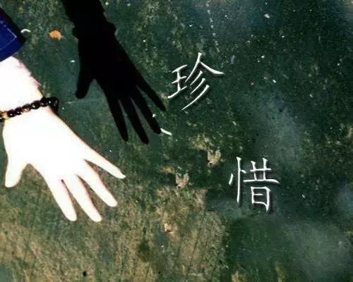 晚安感悟171227：2018，珍惜敢和你说真话的人