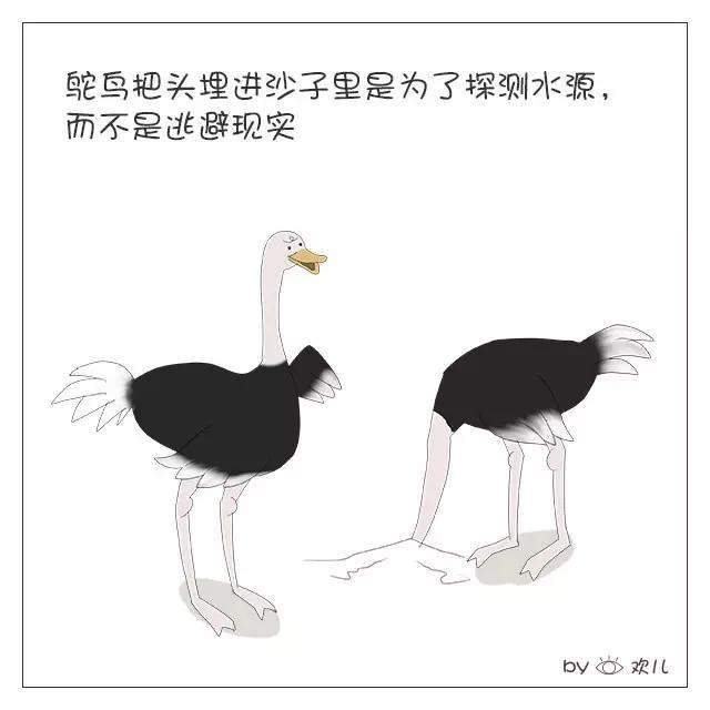 15个动物冷知识，一起萌萌哒涨姿势