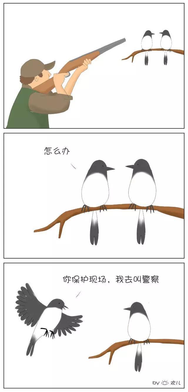 动物冷笑话的小漫画！