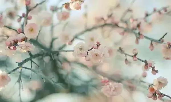 晚安心情180109：人生聚散，一切随缘
