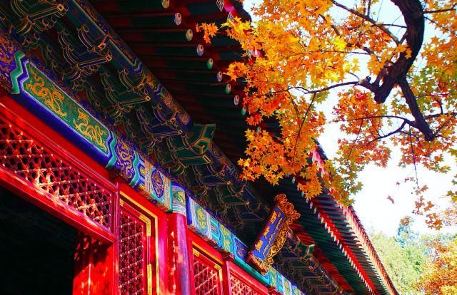 晚安文字180120：凡事，不能强求