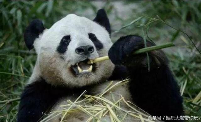 女朋友胸小要怎么安慰？ 女朋友过生日送什么礼物好