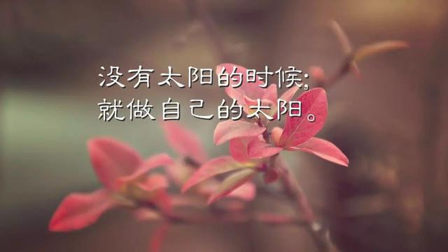 早安心语正能量180303：你要安静的优秀，悄无声息的坚强