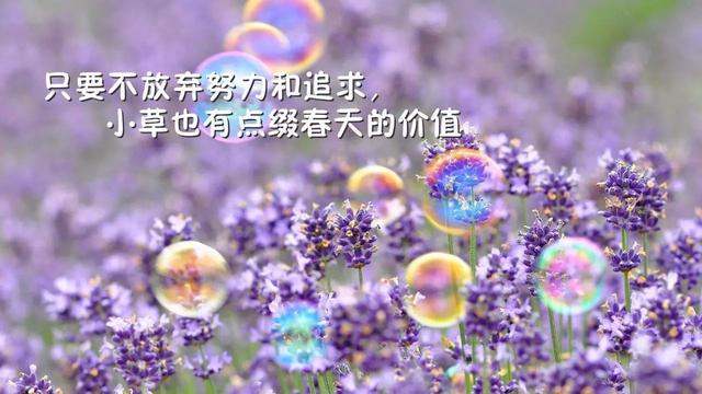 早安心语正能量180120：你对待当下的态度，会决定你未来的高度