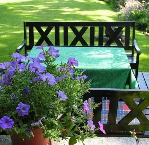 早安美图160505:仅仅如此,就好