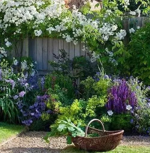 早安美图160505:仅仅如此,就好