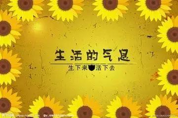 早安感悟180125：人生就是一篮子菜