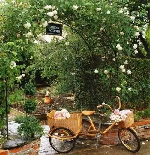 早安美图160505:仅仅如此,就好