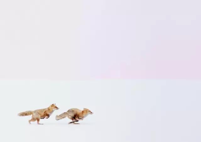 早安美图160511：世界各地的动人之美，总有一款美能瞬间击中你