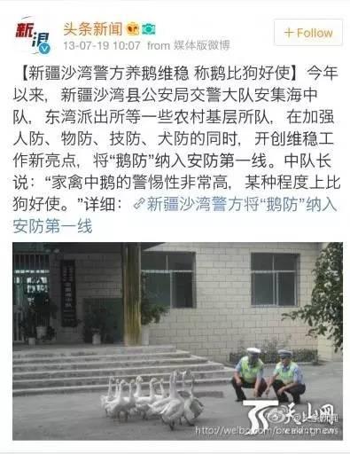 鹅的战斗力可不是吹出来的