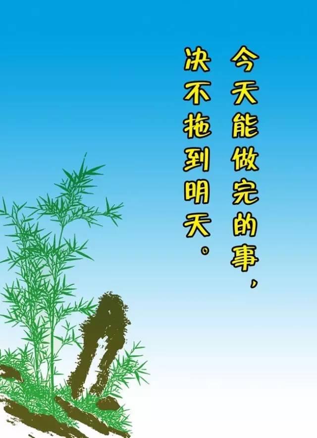 早安励志心语180320：静悄悄的努力，活成自己想要的模样