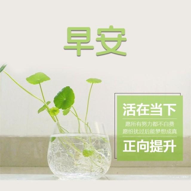 早安心语正能量180305：痛苦只是成功与胜利的首付