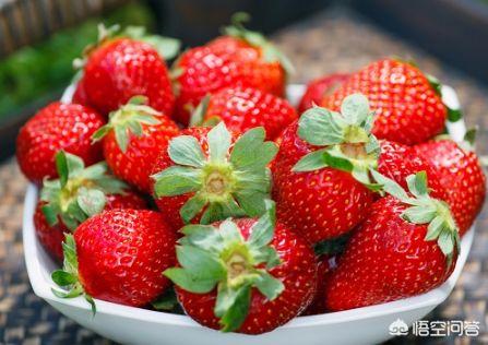 白草莓价格多少钱一斤（日本牛奶草莓）