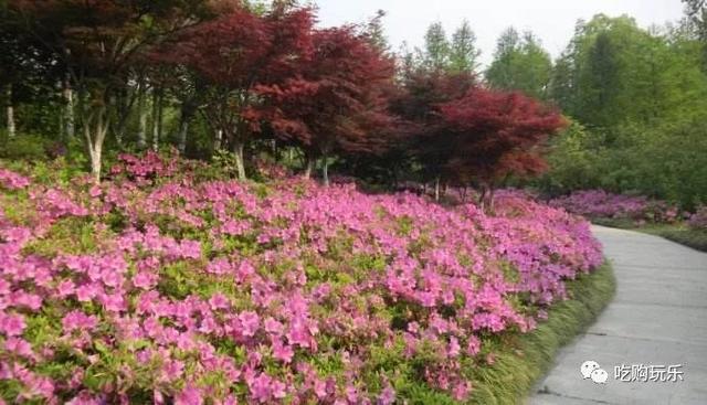 无锡旅游景点排行榜前十名，无锡100个旅游景点你去过几个