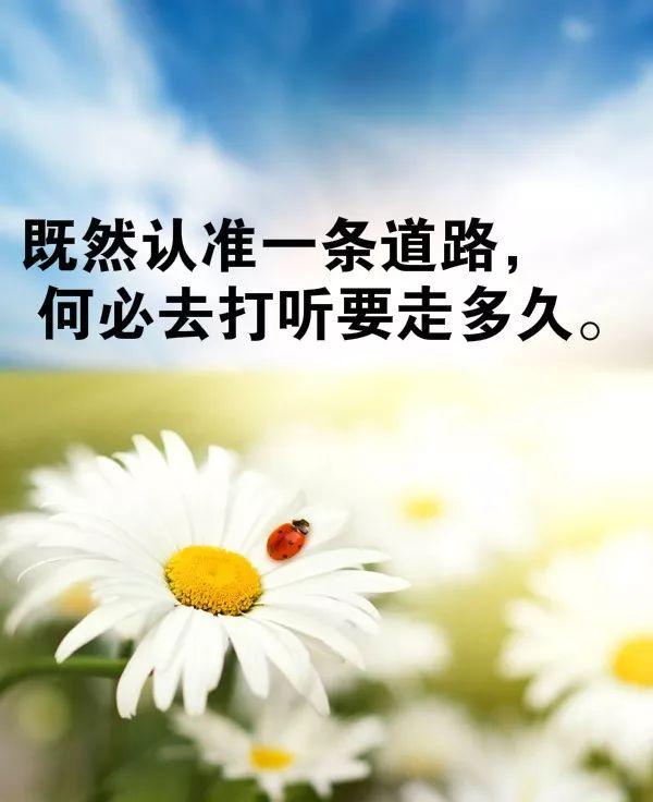 早安正能量句子190818：努力成长，是在孤独里可以进行的最好的游戏