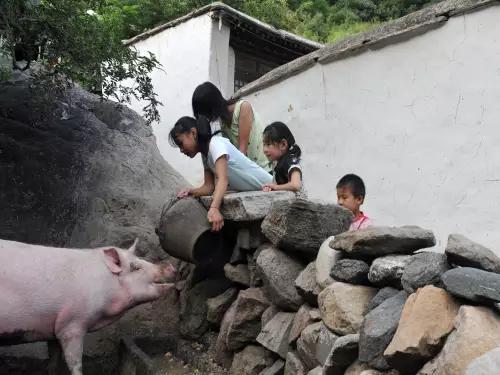 六一怀旧第二波：怀旧不是那时代多好，而是那时我们还年轻