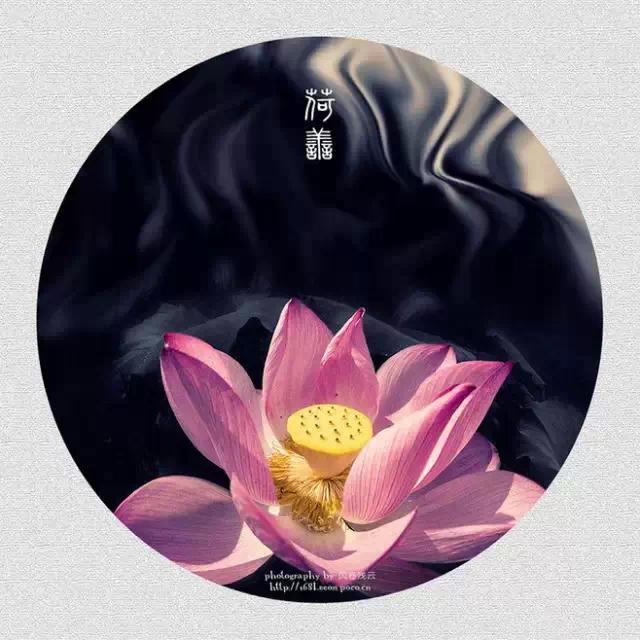 早安美图160528：不求朝暮相见，只想在灵魂深处相偎