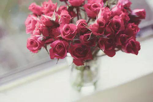 早安美图160601：情人是一个很美的字眼