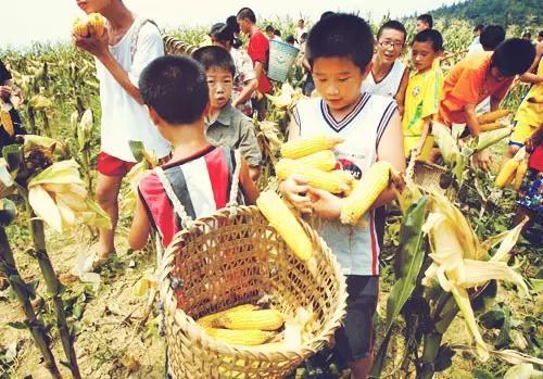 六一怀旧第二波：怀旧不是那时代多好，而是那时我们还年轻