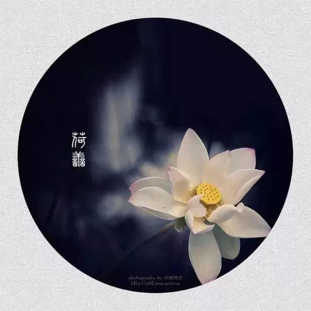 早安美图160528：不求朝暮相见，只想在灵魂深处相偎