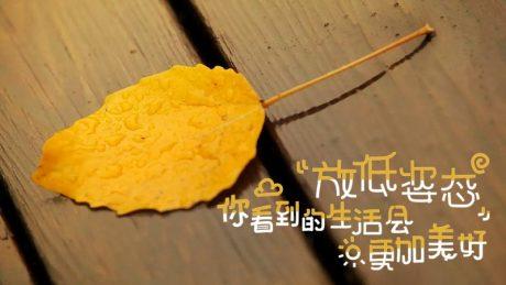 晚安心语160529：只要你能，就永远别承认自己不行
