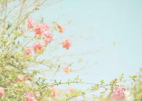 早安美图160601：情人是一个很美的字眼