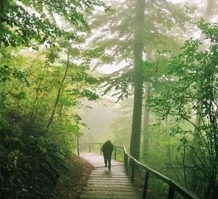 早安美图160618：你累了谁都指望不上