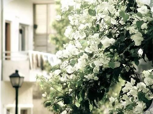 早安美图160622：为你难过而难过的是该放进心里的人