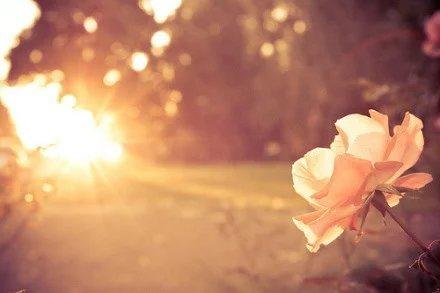 早安心语1601619：结婚，只是一种生活方式