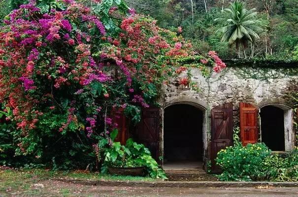 早安美图160624：老来三不管！老来三不争！