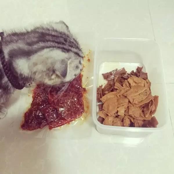 四川的猫吃辣吗?