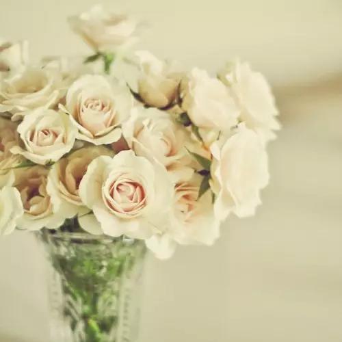 早安美图160622：为你难过而难过的是该放进心里的人