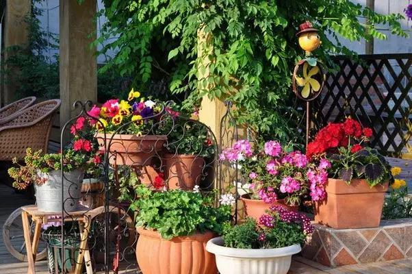 早安美图160624：老来三不管！老来三不争！