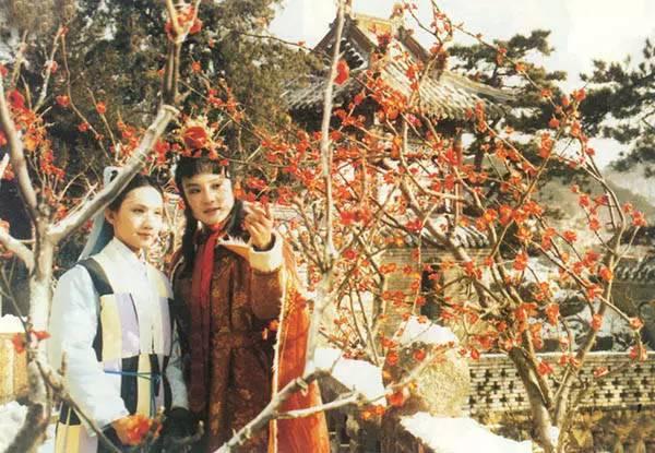 1960-1999出生的人进来，87版《红楼梦》背后的故事