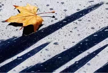 早安美图160629：荣华花间露，富贵草上霜