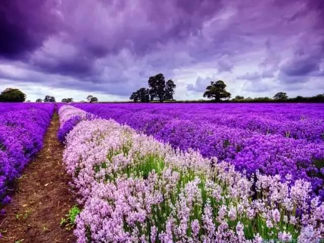 早安美图160703：难受的时候看看，写的真好